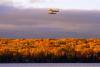 Cook County in fall. Photo by Don Davison